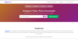 SnapInsta: Unduh Video IG Private, Apakah Bisa?