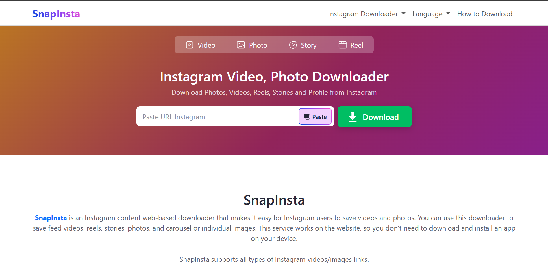 SnapInsta: Unduh Video IG Private, Apakah Bisa?